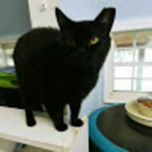 Meet your Posher, Elizabeth